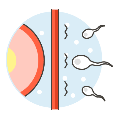 Pregnancy-Sperms-Reproduction